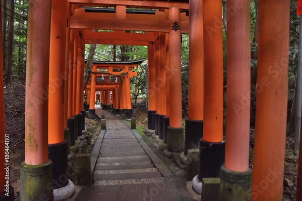 Obraz 京都、伏見稲荷の鳥居