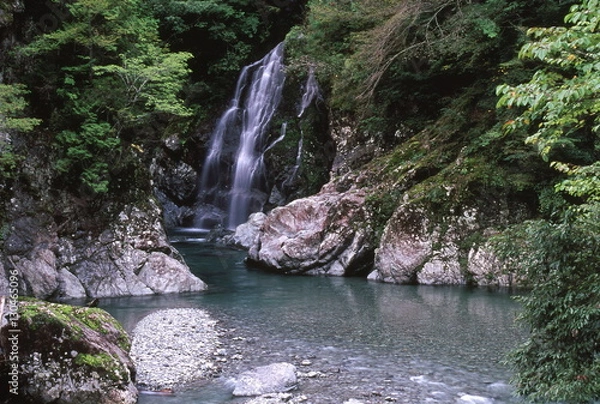 Fototapeta 篠原の滝