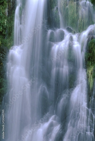 Fototapeta 滝