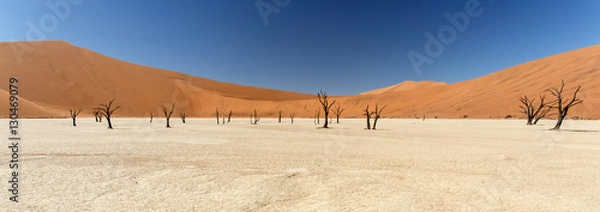 Obraz Dead Vlei - Sossusvlei, Namibia