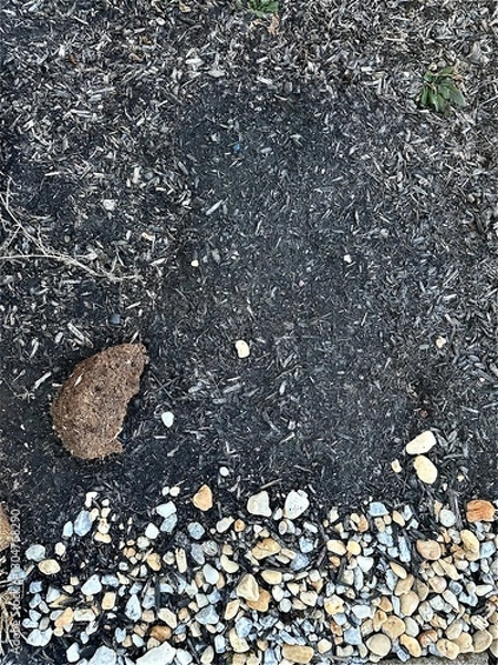 Obraz Pebbles and mulch 