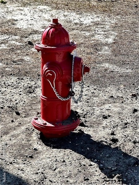 Obraz red fire hydrant
