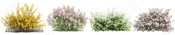 Obraz  Blooming Shrubs in Springtime png set