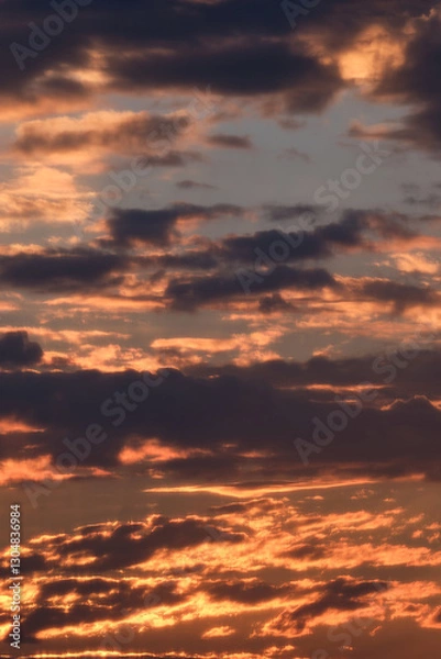 Obraz sunset in the sky