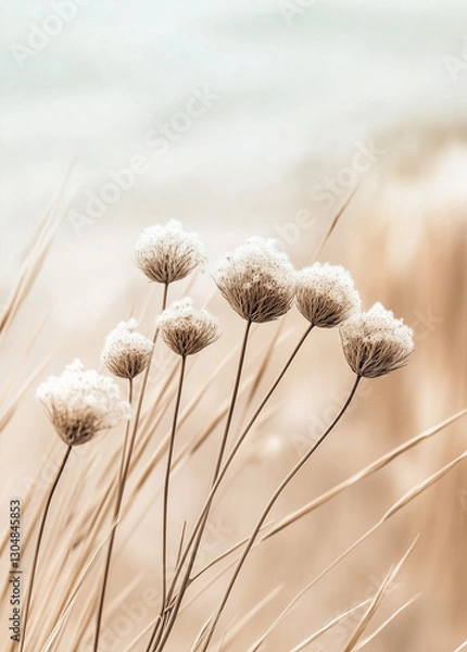 Obraz  Close-up of dried Queen Anne’s lace flowers in soft beige tones, gently swaying by the sea, creating a peaceful and dreamy coastal atmosphere