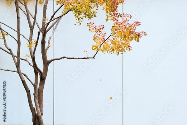 Fototapeta tree in autumn