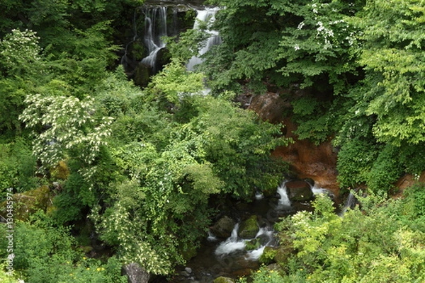 Fototapeta 夏の渓流