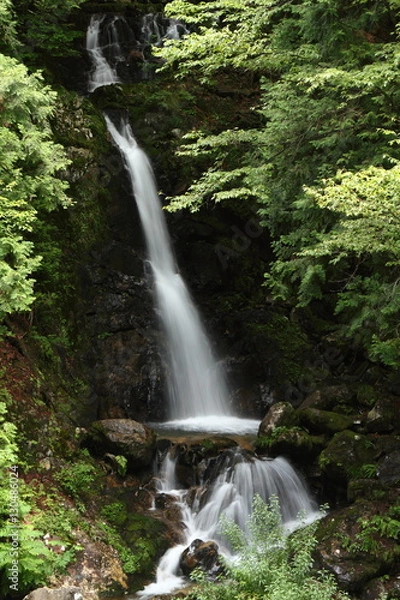 Fototapeta 六段の滝