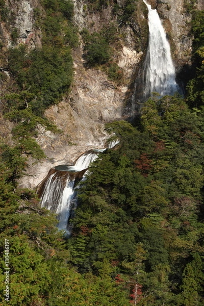 Obraz 不動七重の滝