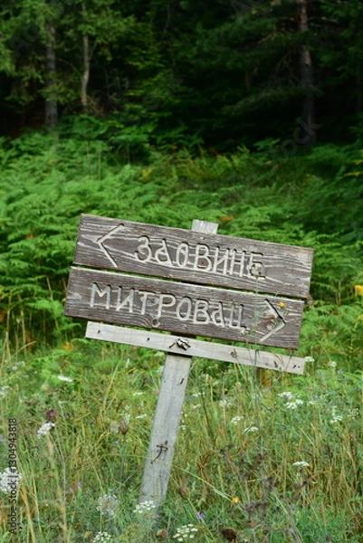 Obraz Wooden sign post showing the way on Tara mountain, Serbia
