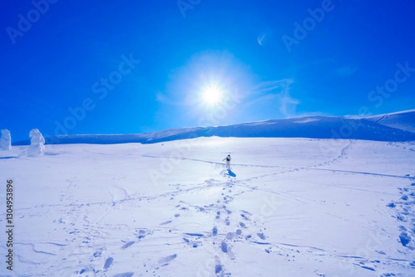 Fototapeta 山形蔵王の美しい樹氷