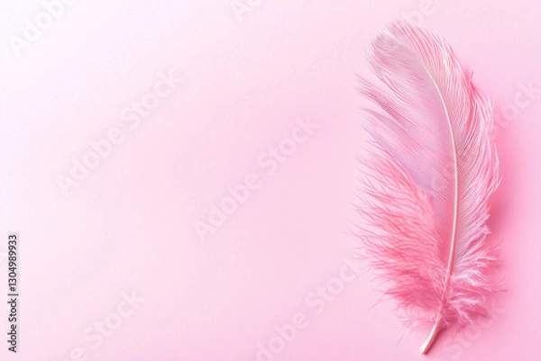 Fototapeta Banner with Pink Feather on Pink Pastel Background, Top View, Delicate Design, Copy Space