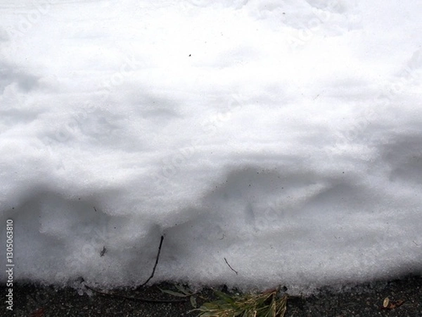 Obraz snow winter ice