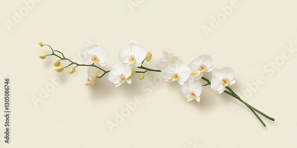 Fototapeta Elegant White Orchid Branch: A delicate branch of pure white orchids, with subtle yellow centers, arranged against a muted beige background.  This image exudes a sense of elegance, serenity.