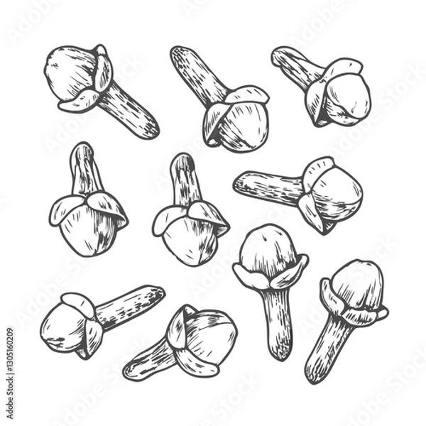 Fototapeta Detailed cloves spice sketch illustration, showcasing dried buds in vintage style. Perfect for culinary designs, food packaging, botanical art, and aromatic spice-themed projects.