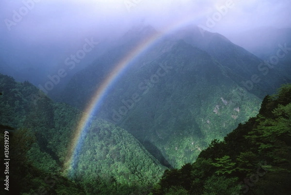 Obraz 山間の虹