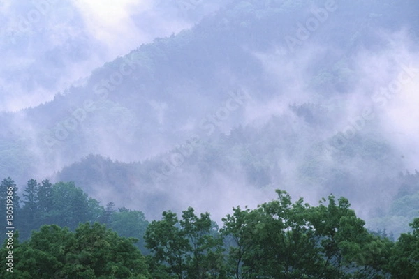 Fototapeta 雨上がり
