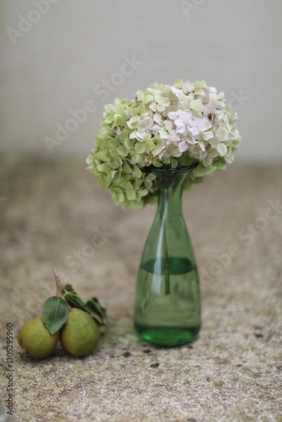 Obraz Still life with hydrangeas in a vase, captured in warm natural light. Soft tones and delicate petals create a calm, elegant and timeless floral composition.