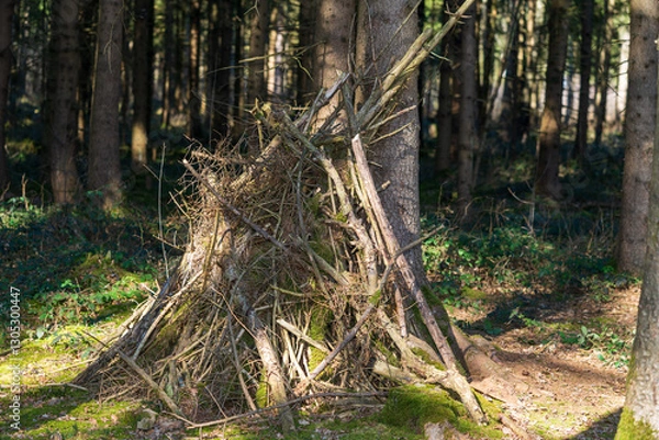 Fototapeta aufgeschüttete Äste und Zweige im Wald