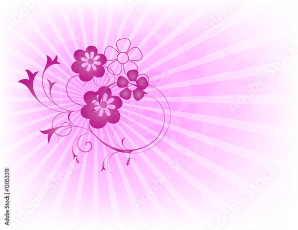 Fototapeta pink flower