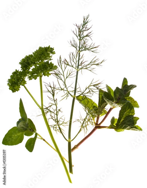 Obraz bouquet garni 2