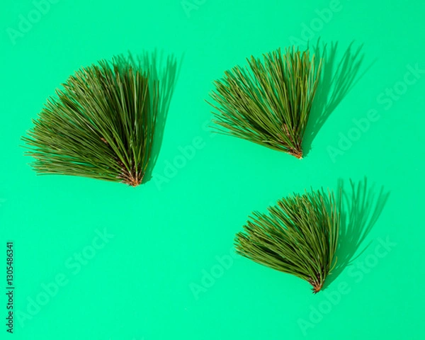 Obraz Pine needles on green