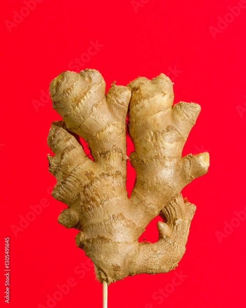 Obraz Ginger on red background