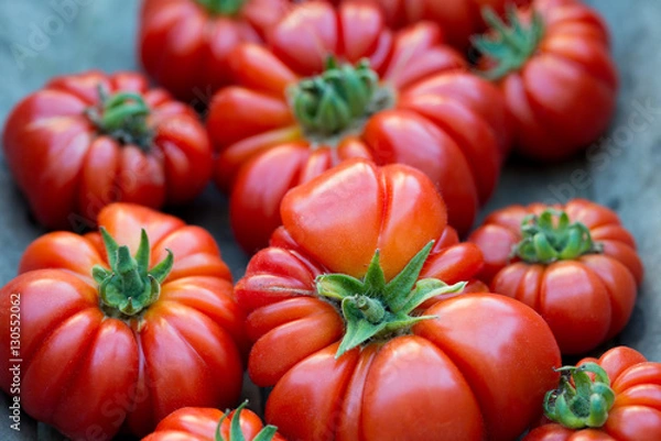 Obraz Large, bright red beef tomatoes sit in a large wooden bowl