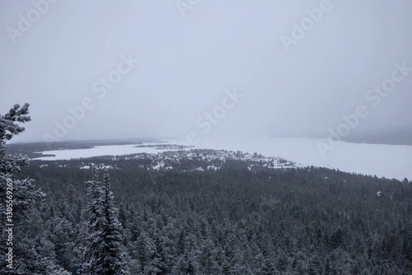 Obraz Incredible winter landscape with snowcapped pine trees under cloudy skies in frosty morning. Jukkasjarvi, outside of Kiruna.