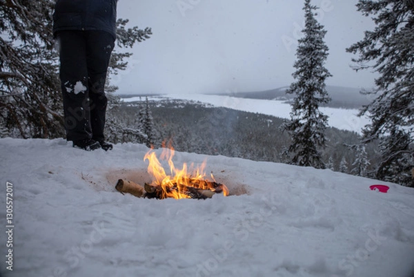 Obraz Cozy fireplace with a burning wood fire at a snowy winter landscape with forest and mountains in the background