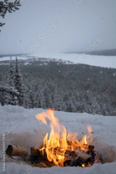 Obraz Cozy fireplace with a burning wood fire at a snowy winter landscape with forest and mountains in the background