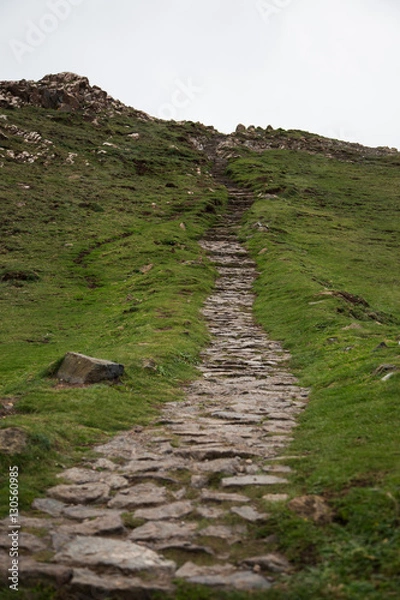 Obraz Stone path up a green hill