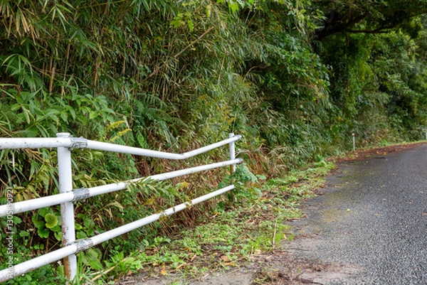 Obraz 荒れた道路端のガードレール
