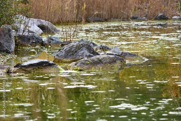 Obraz Auszeit am See