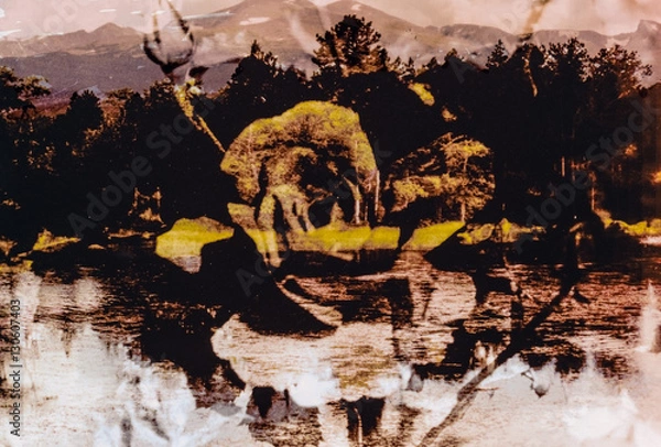 Fototapeta My Two Worlds: Native Elegance