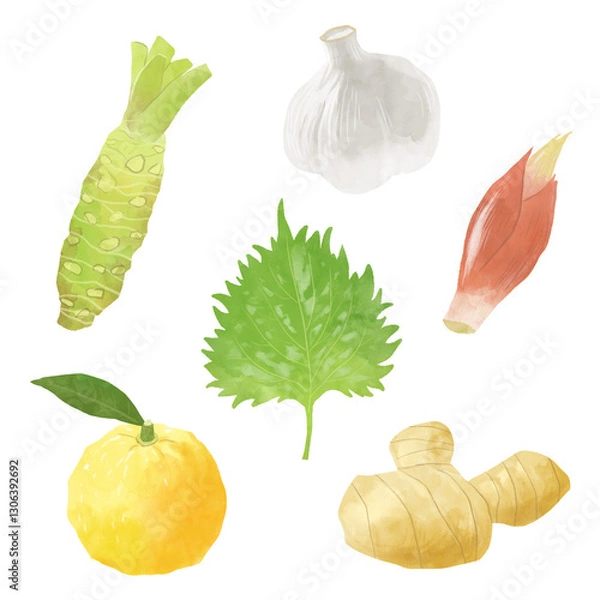 Obraz 薬味のイラスト