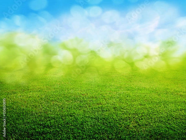 Fototapeta green grass background