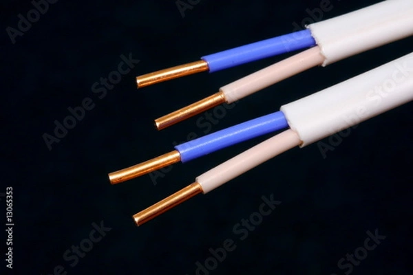 Obraz Electric wires