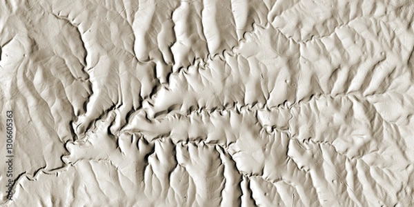 Fototapeta Concept de fond géographique - Données lidar HD - Vue aérienne de la topographie d'un territoire - Rendu 2d modèle numérique de terrain et nuage de points Lidar HD