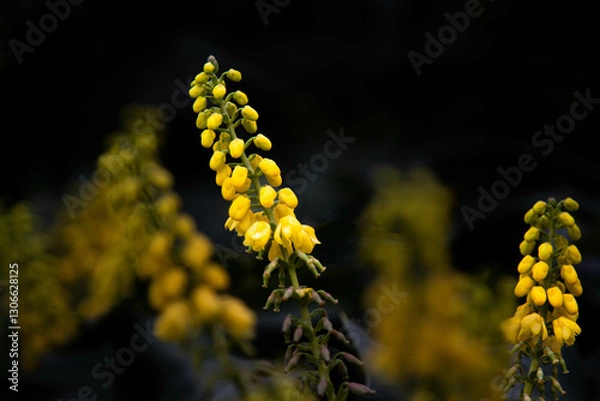 Obraz fleurs 052
