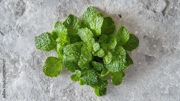 Fototapeta A close-up of a bunch of fresh mint leaves with dew drops, set against a light stone background.