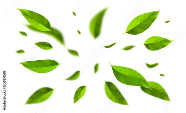 Fototapeta Top view on flying green leaves in the air. Fresh and healthy tea leaves.