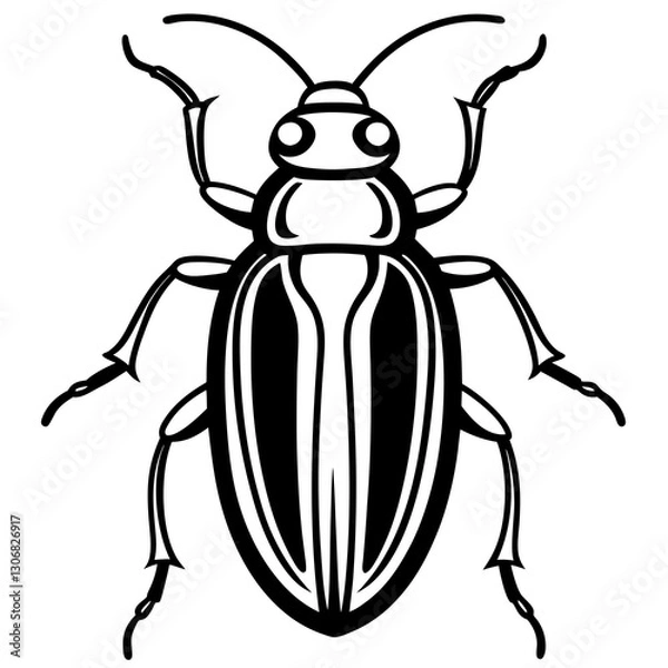 Fototapeta Elegant Beetle Line Drawing Vector