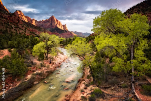 Fototapeta The Watchman