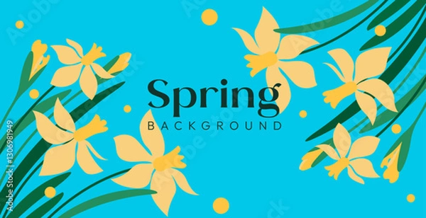 Fototapeta Spring background with blooming daffodils in vector, flat style.