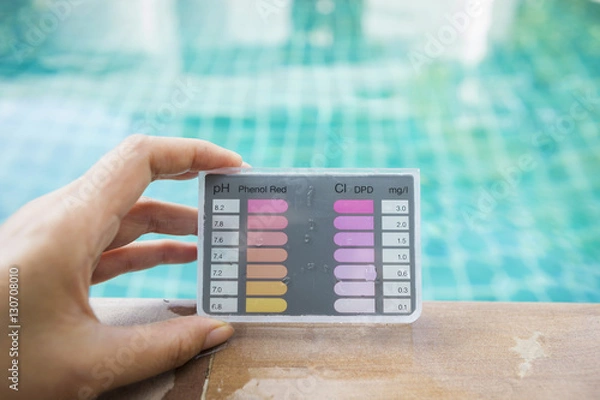 Fototapeta Girl hand holding water testing test kit on swimming pool edge