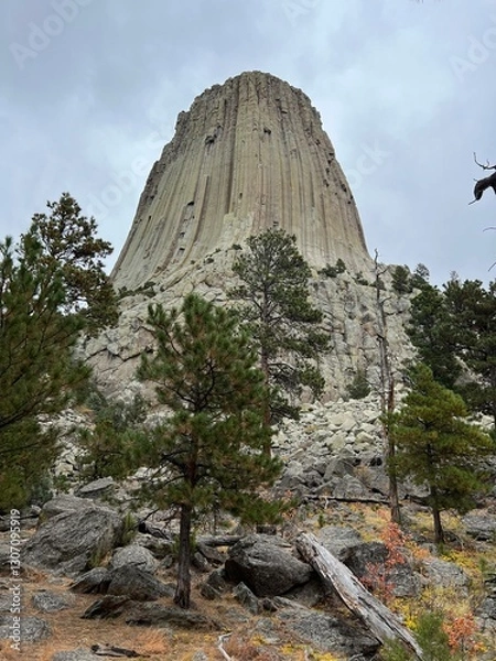 Obraz デビルズタワー