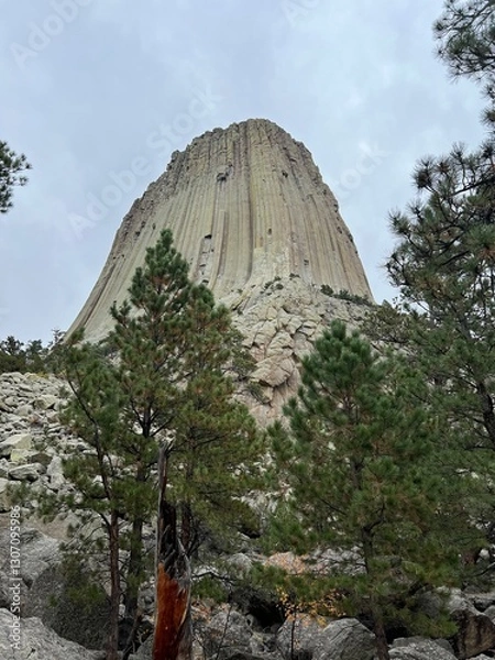 Obraz デビルズタワー