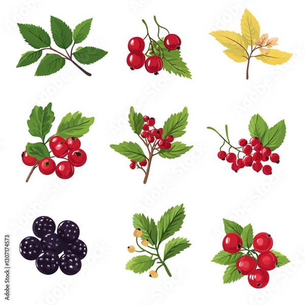 Fototapeta Redcurrant and Blackberry Illustrations with Green and Yellow Leaves