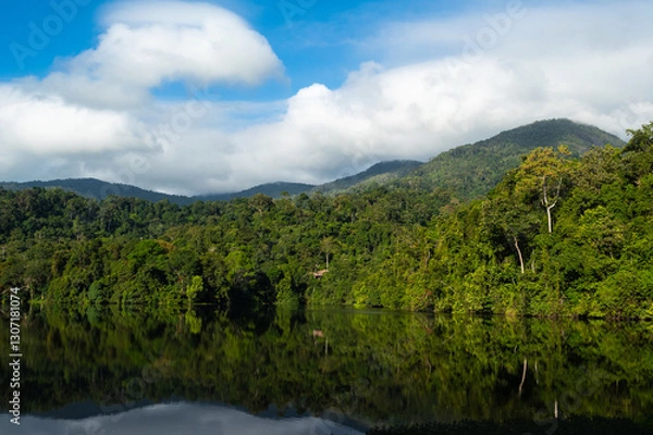 Obraz The serene reflection of the forest in the reservoir creates a mesmerizing and tranquil scene.